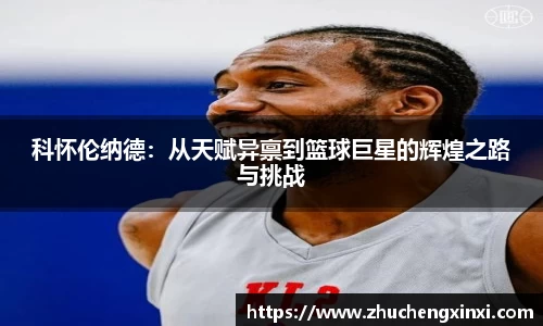 欧陆app
