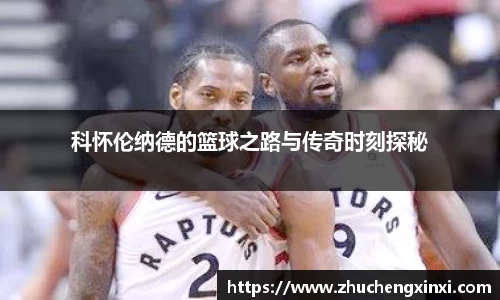 欧陆app