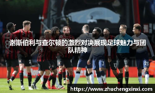 欧陆平台
